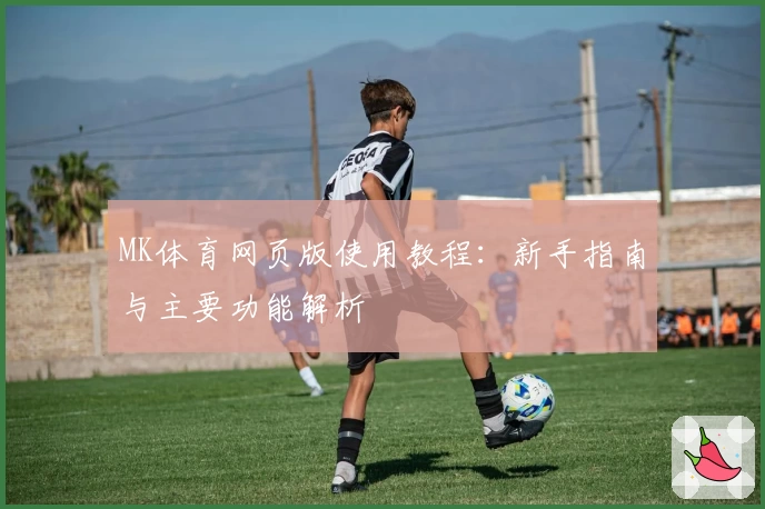 MK体育网页版使用教程：新手指南与主要功能解析