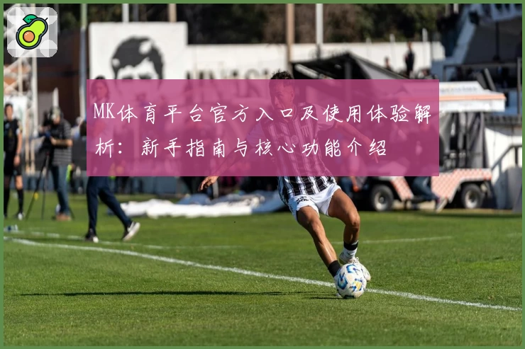 MK体育平台官方入口及使用体验解析：新手指南与核心功能介绍